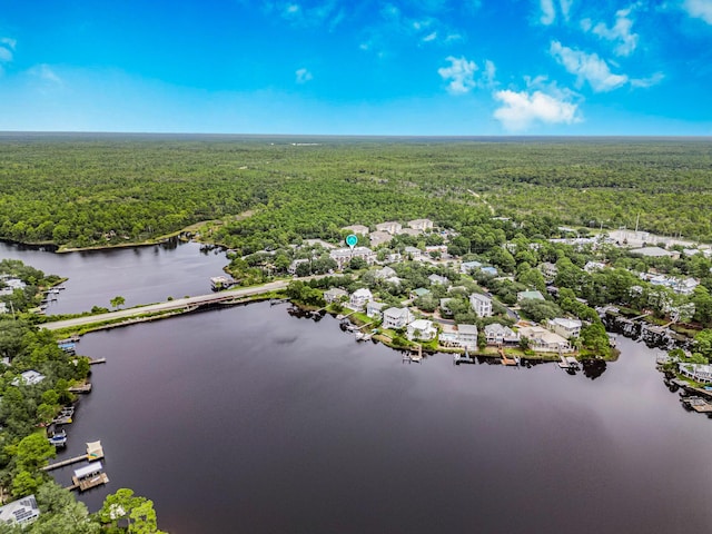 bird's eye view with a water view and a forest view
