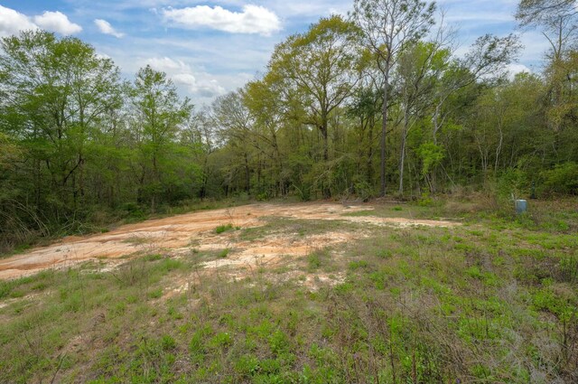 LOT8 Wild Hare Ln, Crestview, FL 32539