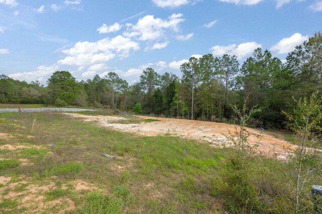 LOT8 Wild Hare Ln, Crestview, FL 32539