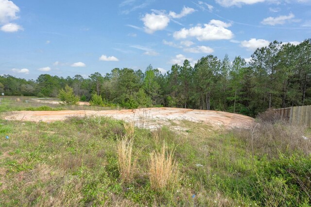LOT8 Wild Hare Ln, Crestview, FL 32539