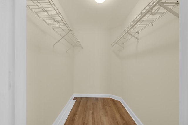 113 SE Brooks St Unit 201, Fort Walton Beach, FL 32548 - walk in closet with wood finished floors
