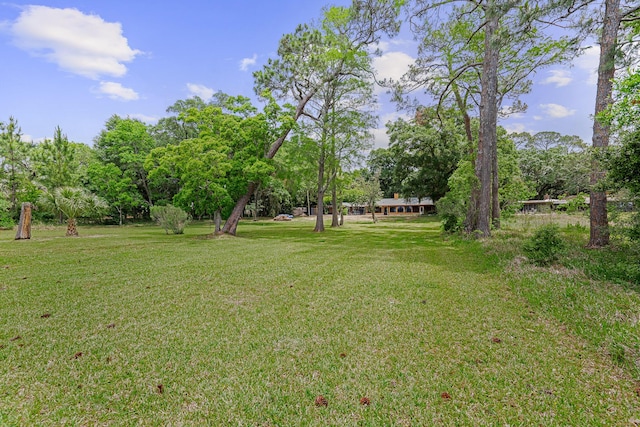 1031 Paradise Ln, Pensacola, FL 32506 - photo 55