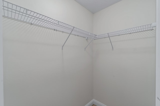 2690 Hartman Ct, Navarre, FL 32566 - view of walk in closet