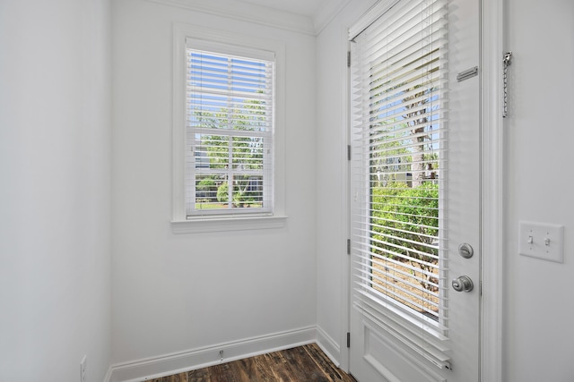 entryway with dark wood-style flooring, baseboards, and a healthy amount of sunlight