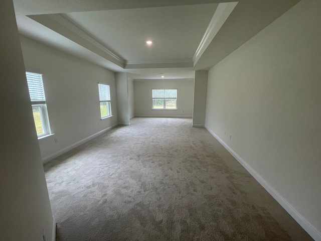 973 Coastal Breeze Dr, Freeport, FL 32439 - unfurnished room with baseboards, ornamental molding, a tray ceiling, and carpet flooring