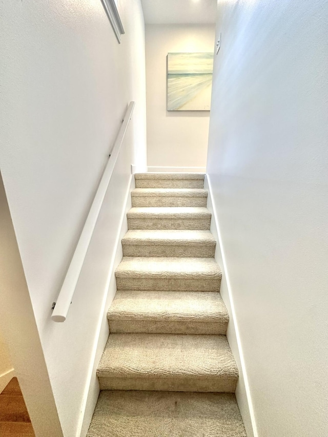 stairway featuring carpet