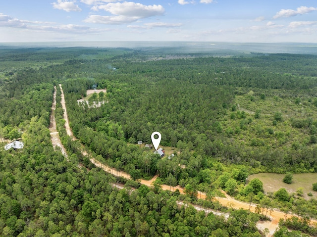 bird's eye view with a wooded view