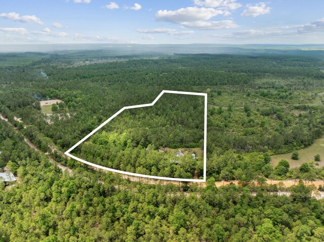 drone / aerial view with a view of trees
