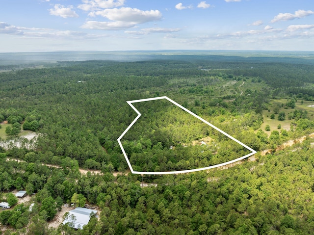 aerial view with a forest view