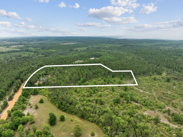aerial view with a forest view