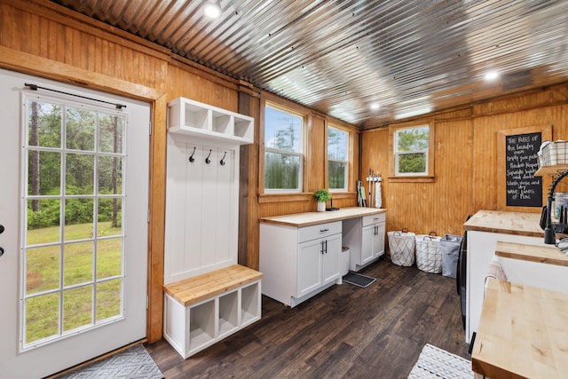 mudroom featuring wood walls and dark wood finished floors