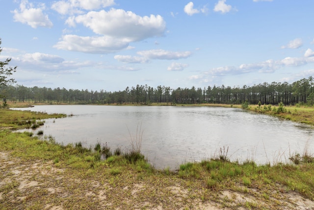 property view of water with a view of trees