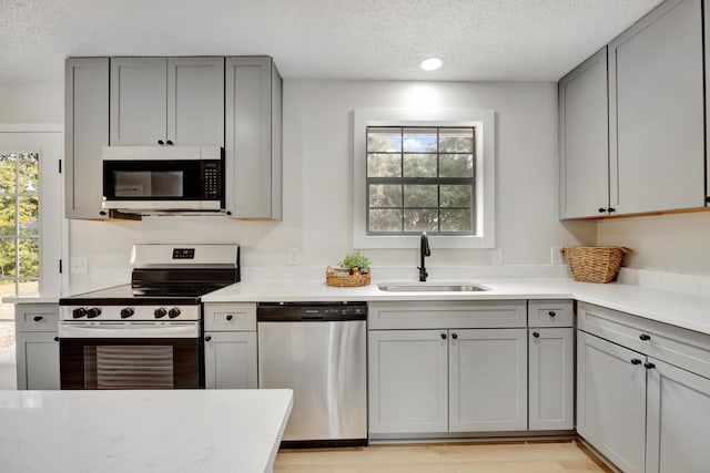 kitchen featuring stainless steel appliances, a textured ceiling, gray cabinetry, and a sink