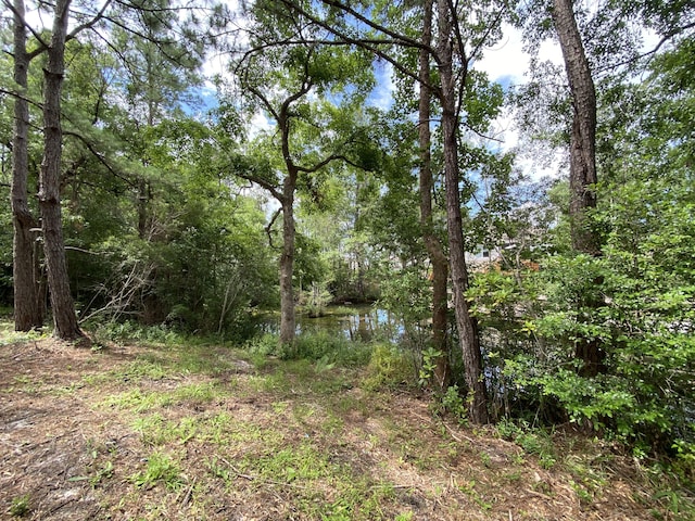 LOT1 Marsh Lndg S, Freeport, FL 32439