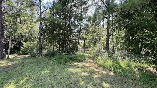 LOT1 Marsh Lndg S, Freeport, FL 32439