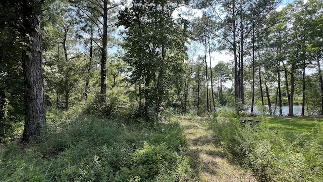 LOT1 Marsh Lndg S, Freeport, FL 32439