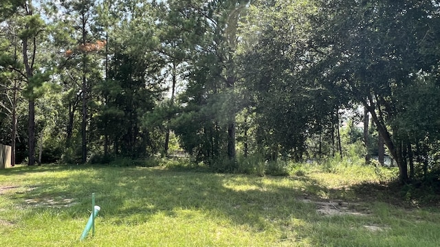 LOT1 Marsh Lndg S, Freeport, FL 32439
