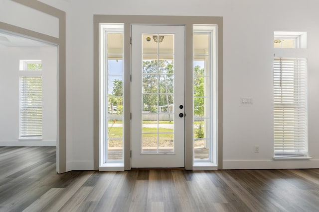 1429 N County Highway 393, Santa Rosa Beach, FL 32459 - doorway to outside with baseboards and dark wood finished floors