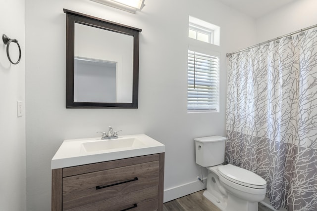1429 N County Highway 393, Santa Rosa Beach, FL 32459 - full bath featuring toilet, baseboards, wood finished floors, and vanity