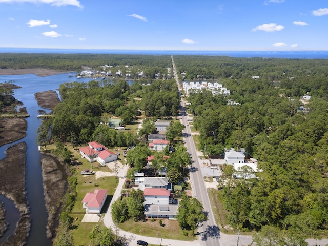 1429 N County Highway 393, Santa Rosa Beach, FL 32459 - birds eye view of property with a view of trees and a water view