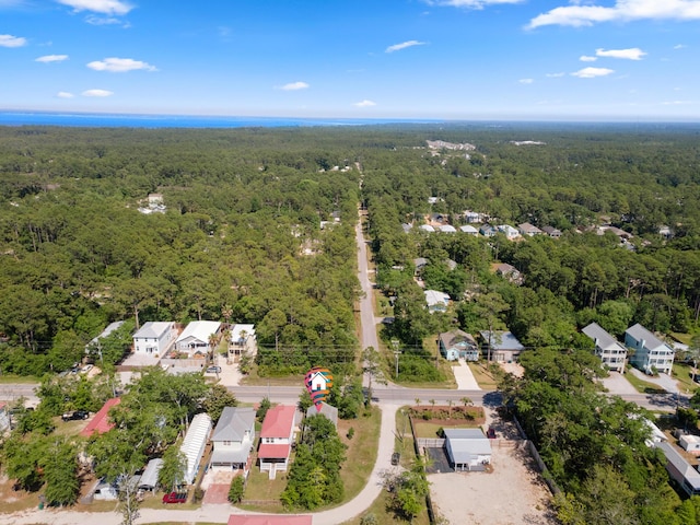 1429 N County Highway 393, Santa Rosa Beach, FL 32459 - bird's eye view with a residential view and a forest view