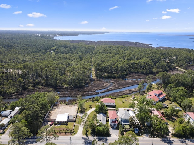 1429 N County Highway 393, Santa Rosa Beach, FL 32459 - bird's eye view featuring a water view and a forest view