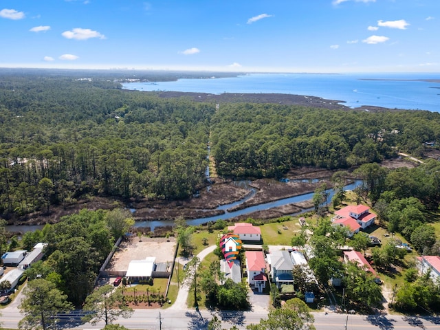 1429 N County Highway 393, Santa Rosa Beach, FL 32459 - drone / aerial view with a water view and a wooded view