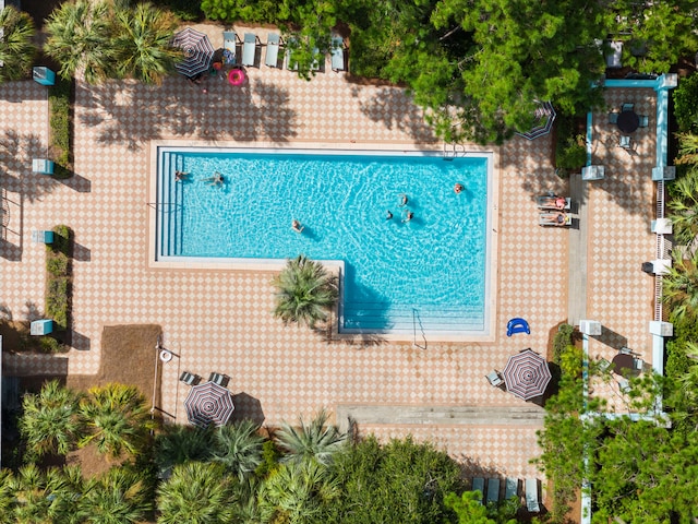 1429 N County Highway 393, Santa Rosa Beach, FL 32459 - view of community pool