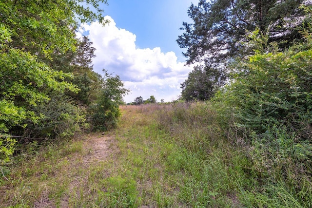 1704 Cobb Rd, Baker, FL 32531 - photo 17