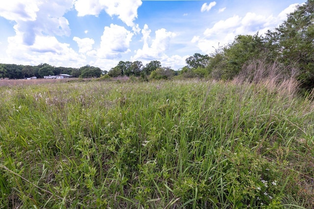 1704 Cobb Rd, Baker, FL 32531 - photo 18