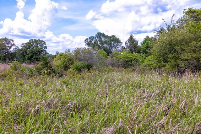 1704 Cobb Rd, Baker, FL 32531 - photo 19