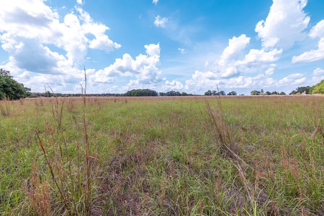 1704 Cobb Rd, Baker, FL 32531 - photo 20