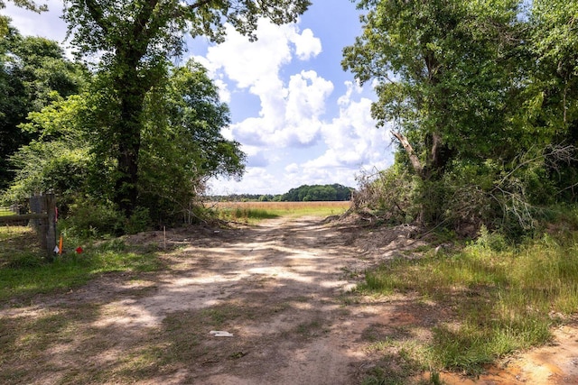 1704 Cobb Rd, Baker, FL 32531 - photo 23