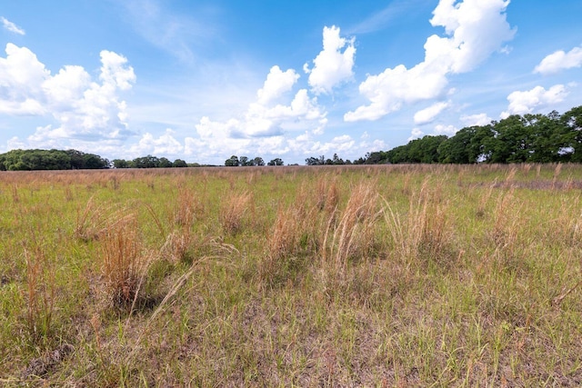 1704 Cobb Rd, Baker, FL 32531 - photo 25