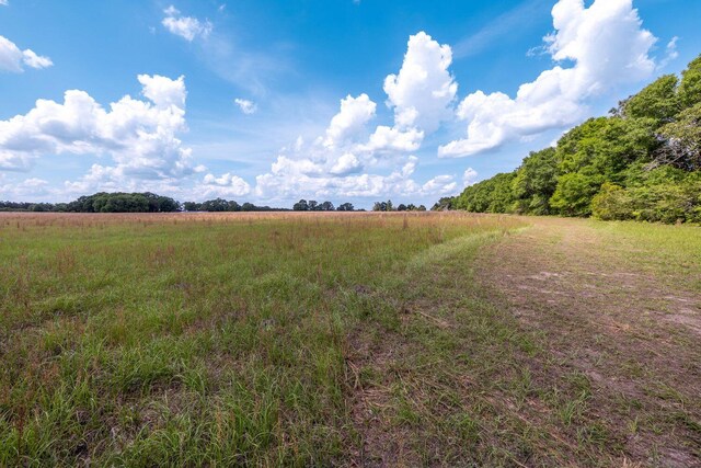 1704 Cobb Rd, Baker, FL 32531 - photo 26