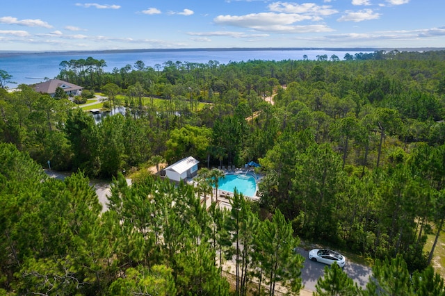 672 Alderberry Rd, Santa Rosa Beach, FL 32459 - birds eye view of property with a water view and a wooded view