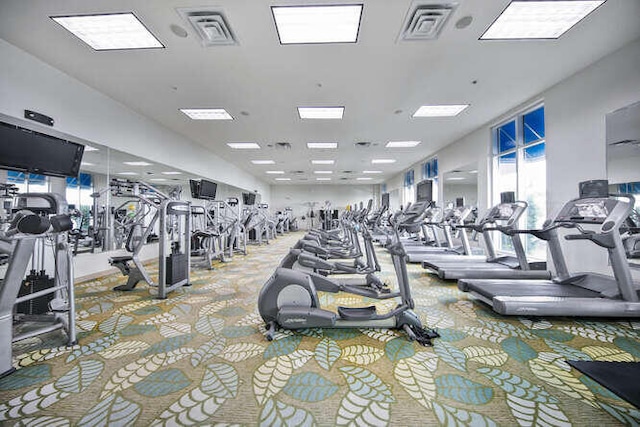 gym featuring visible vents, carpet, and a healthy amount of sunlight