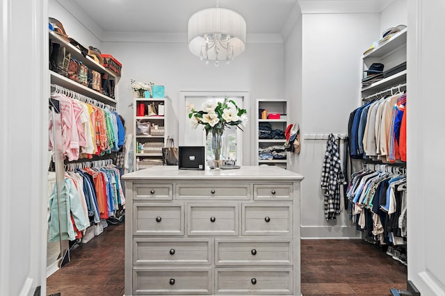 489 Regatta Bay Blvd, Destin, FL 32541 - walk in closet with a chandelier and dark wood-style flooring