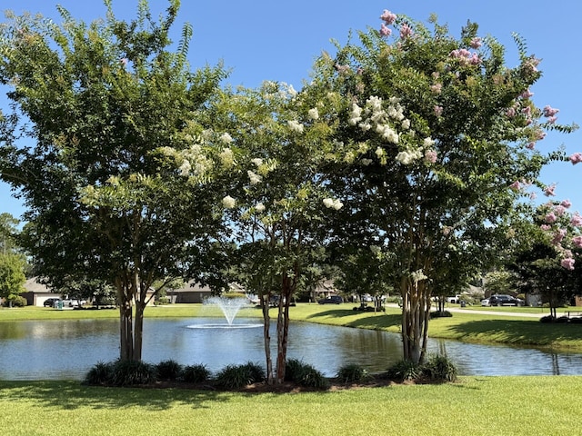 138 Riverbirch Loop, Santa Rosa Beach, FL 32459 - water view