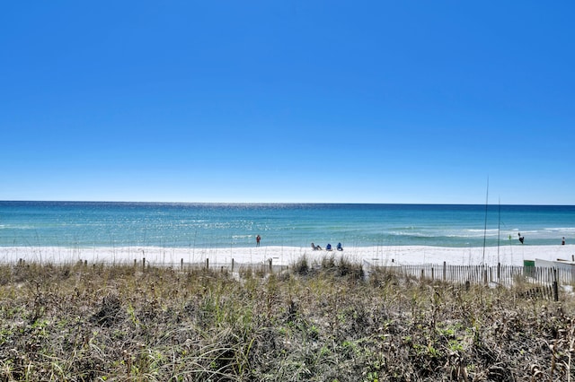 water view featuring a beach view