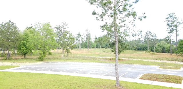 3090 Brandon Dunes Ln, Laurel Hill, FL 32567 - view of sport court featuring a lawn