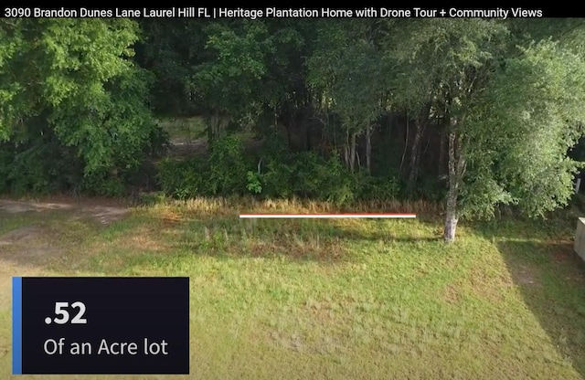 3090 Brandon Dunes Ln, Laurel Hill, FL 32567 - view of yard