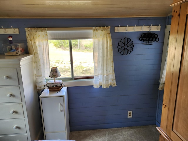 258 Briar Rd, Defuniak Springs, FL 32433 - carpeted bedroom featuring wood walls