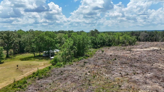 258 Briar Rd, Defuniak Springs, FL 32433 - view of wooded area
