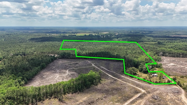 258 Briar Rd, Defuniak Springs, FL 32433 - aerial view of property's location with property boundaries highlighted and a forest