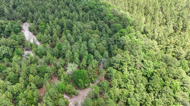 258 Briar Rd, Defuniak Springs, FL 32433 - aerial view of property and surrounding area with a forest