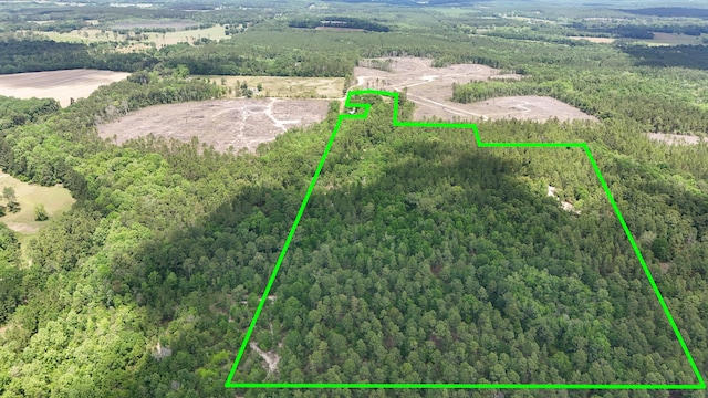258 Briar Rd, Defuniak Springs, FL 32433 - aerial view of property and surrounding area featuring a heavily wooded area and property boundaries highlighted