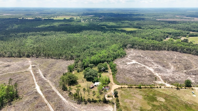 258 Briar Rd, Defuniak Springs, FL 32433 - view of rural area featuring a heavily wooded area