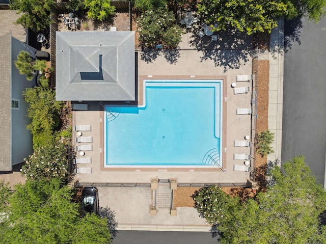 bird's eye view of a pool