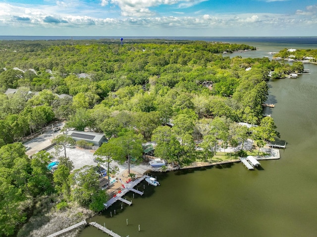 132 Carson Oaks Ln, Santa Rosa Beach, FL 32459 - bird's eye view with a water view and a wooded view